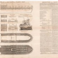 Plan and Sections of a Slave Ship